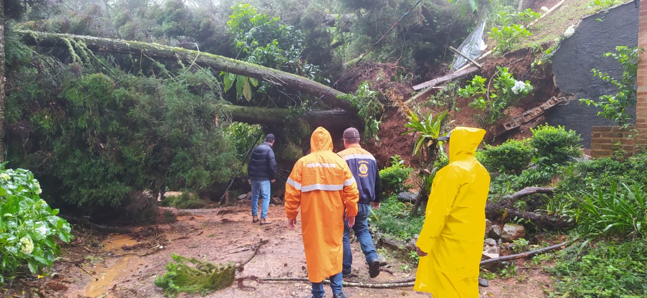 Chuva Forte Derruba árvores E Causa Deslizamento De Terra Em Campos Do Jordão 