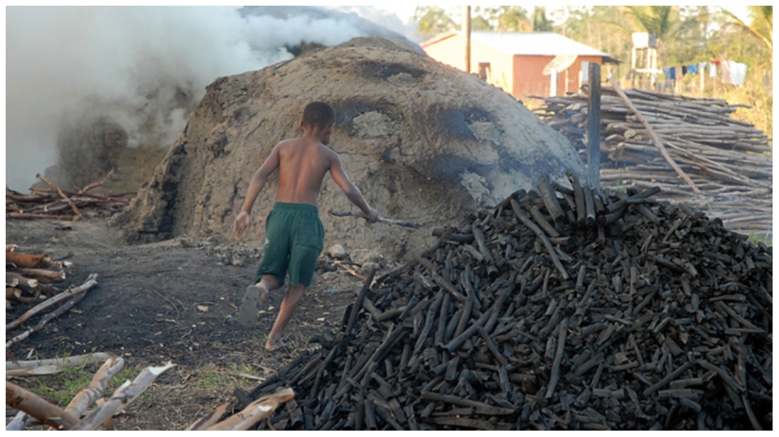 trabalho infantil no brasil saiba quais são as piores formas de abusos